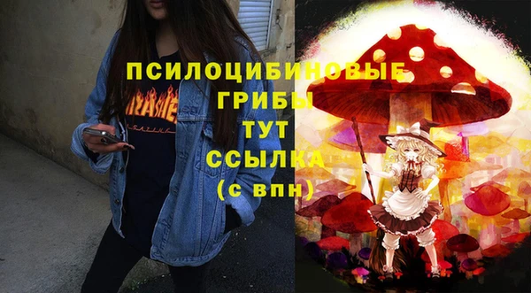 хмурый Армянск