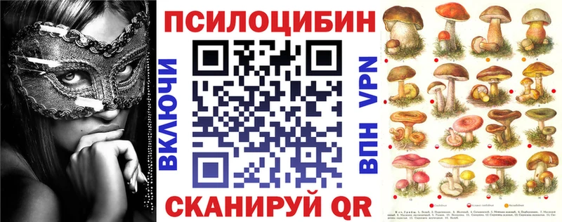 где купить наркотик Краснообск Псилоцибиновые грибы Magic Shrooms